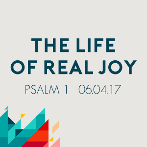 The Real Life of Joy