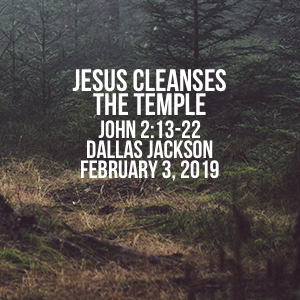 Jesus Cleanses the Temple