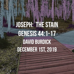 Joseph: The Stain