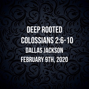 Deep Rooted