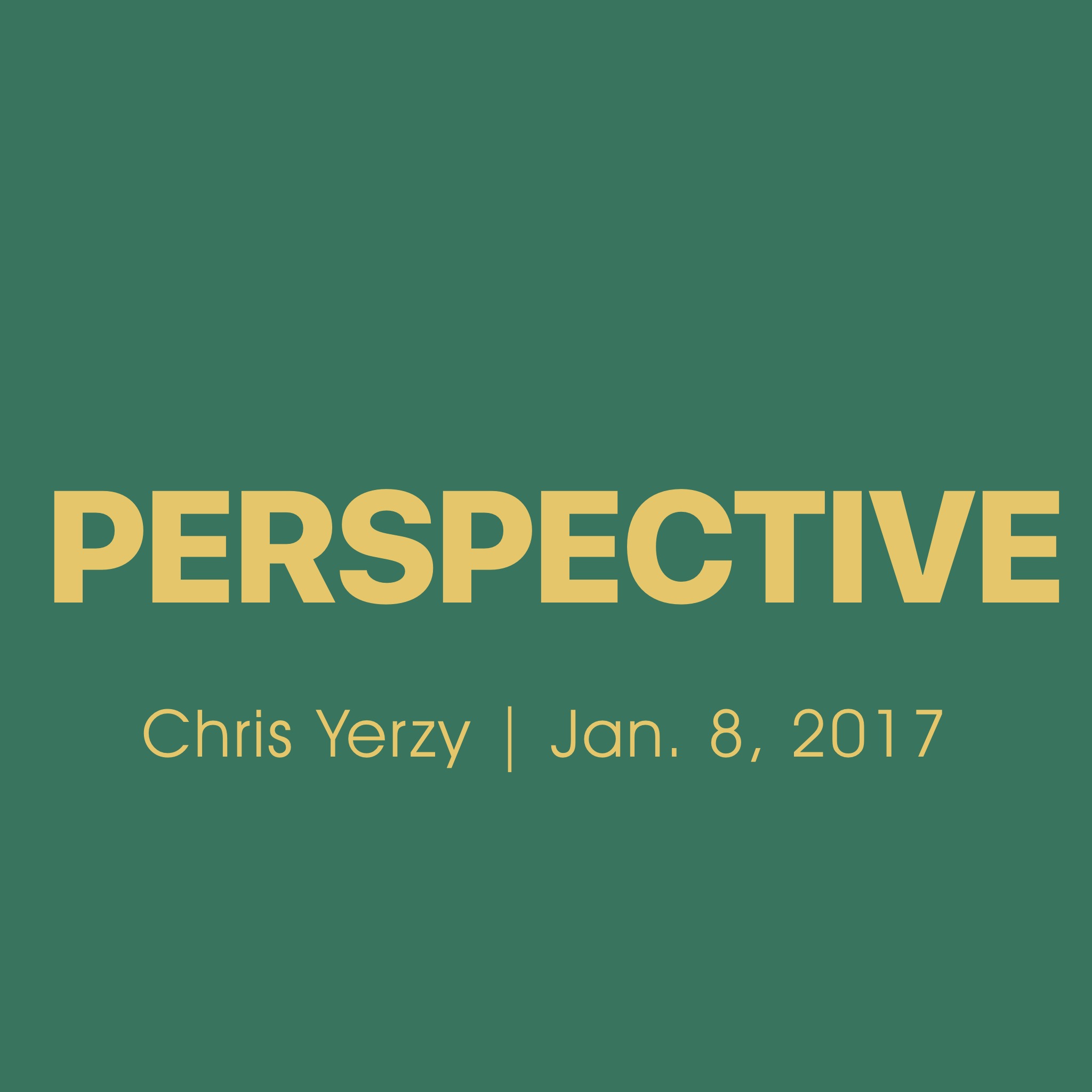 Perspective