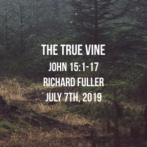The True Vine