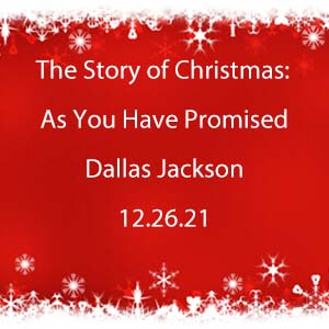The Story of Christmas:  As You Have Promised…