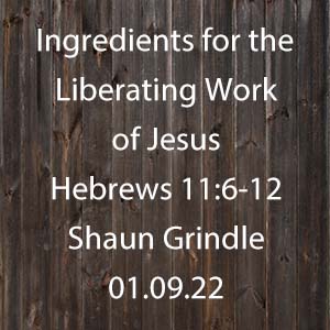 Ingredients for the Liberating Work of Jesus