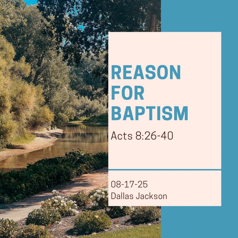 Reason For Batpism