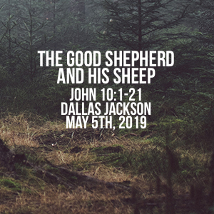 The Good Shepherd & His Sheep