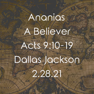 Ananias A Believer