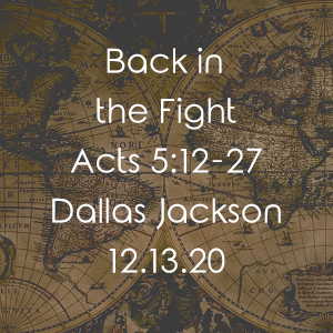 Back In The Fight