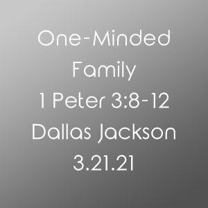One Minded Family