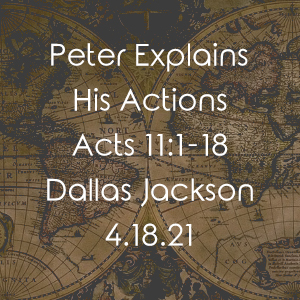 Peter Explains His Actions